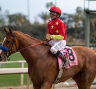 Mike Smith mit seinem Pferd Justify