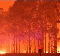 Brand in Mallacoota (Australien)