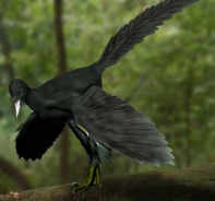 Archaeopteryx