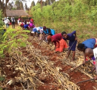 Menschen in Simbabwe lernen, wie sie ertragreich Landwirtschaft betreiben knnen